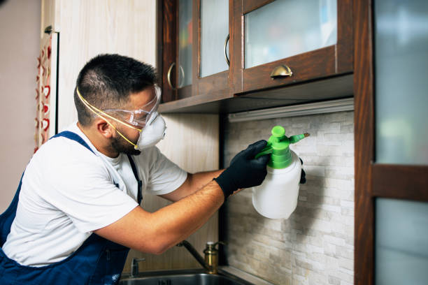 Best Commercial Pest Control Services  in Ocean Springs, MS